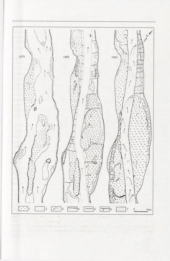 Ewolucja doliny Wisły w holocenie 201 Ryc. 110.