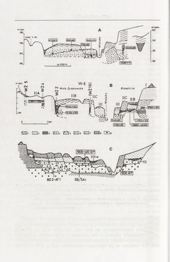 92 Historia Doliny Wisły Ryc. 47. Przekroje geologiczne dna doliny Wisłoki koło Dębicy (wg: Starkel 1995a, b): A - na linii Grabiny-Latoszyn-Potok Wolicki.