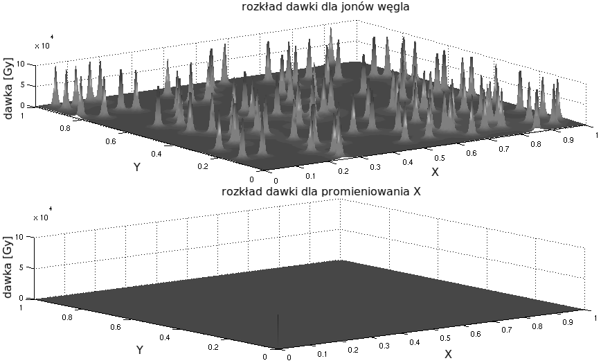 2.3. POPRAWKI DO MODELU ROZDZIAŁ 2. PODSTAWY TEORETYCZNE Rysunek 2.8. Przykładowy rozkład dawki dla wiązki jonowej i fotonowej.