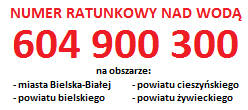 Najczęstszymi przyczynami utonięć są: Brak umiejętności pływania. Brawura, przecenianie swoich sił i umiejętności pływackich. Pływanie w stanie nietrzeźwym.