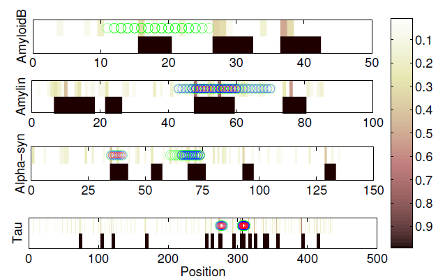 Finding hot spots in full length proteins Black blocks location of amyloidogenic segments with w l = 0.14, (Sp=60% on Waltz set).