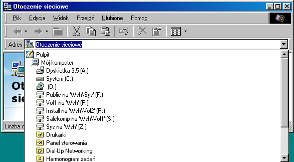 Sieci Komputerowe - Wprowadzenie do INTERNETU 12 oferowane przez Otoczenie sieciowe systemu WINDOWS 95/98. Na rysunku pokazano fragment pulpitu z dwoma ikonami.