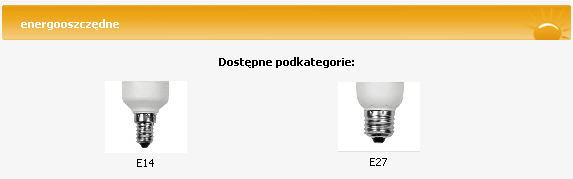 Struktura serwisu Mało, kto wie, że mały gwint to E14.