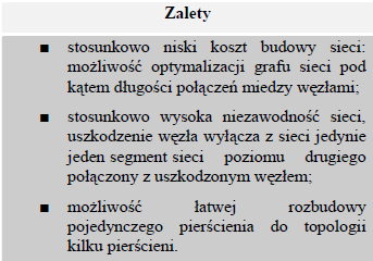 Sieć ta ma umożliwić operatorom sieci dostępowych (OSD) oferowanie usług szerokopasmowego dostępu ( 6 Mb/s) do Internetu mieszkańcom oraz podmiotom publicznym i gospodarczym na terenie Polski