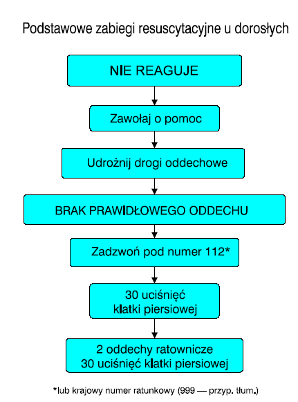 Algorytm BLS (basic live support) zaleca : 1. Upewnij się, czy poszkodowany i wszyscy świadkowie zdarzenia są bezpieczni. 2.