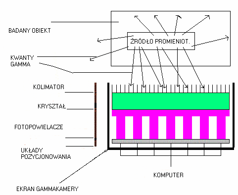 energii promieniowania), ale powinien on być odpowiednio gruby, aby jak największa liczba kwantów gamma padających na scyntylator została w nim zarejestrowana Rys. II.3.3.1.