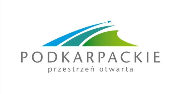 Podkarpackim na lata 2010-2013 1 S t r o n a URZĄD MARSZAŁKOWSKI