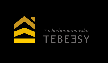 STOWARZYSZENIE ZACHODNIOPOMORSKIE TEBEESY 70-302 SZCZECIN ul. Bohaterów Getta Warszawskiego 1 www.nonstoptbs.