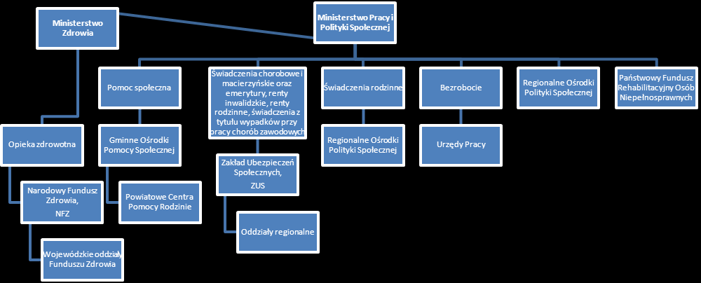 regionalne ośrodki polityki społecznej, powiatowe centra pomocy rodzinie oraz gminne ośrodki pomocy społecznej zapewniające świadczenia rodzinne oraz pomoc społeczną 30 ; lokalne i regionalne urzędy