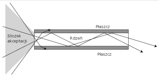 Źródł: Wikipedia