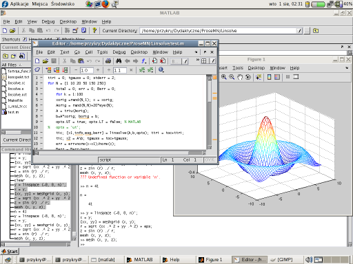 CAS Obliczenia numeryczne Programy Matlab Scilab Octave obliczenia w dużej