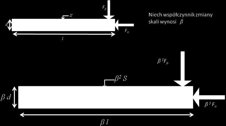 4. Modele wybranych systemów biologicznych 135 Rys. 4.8.