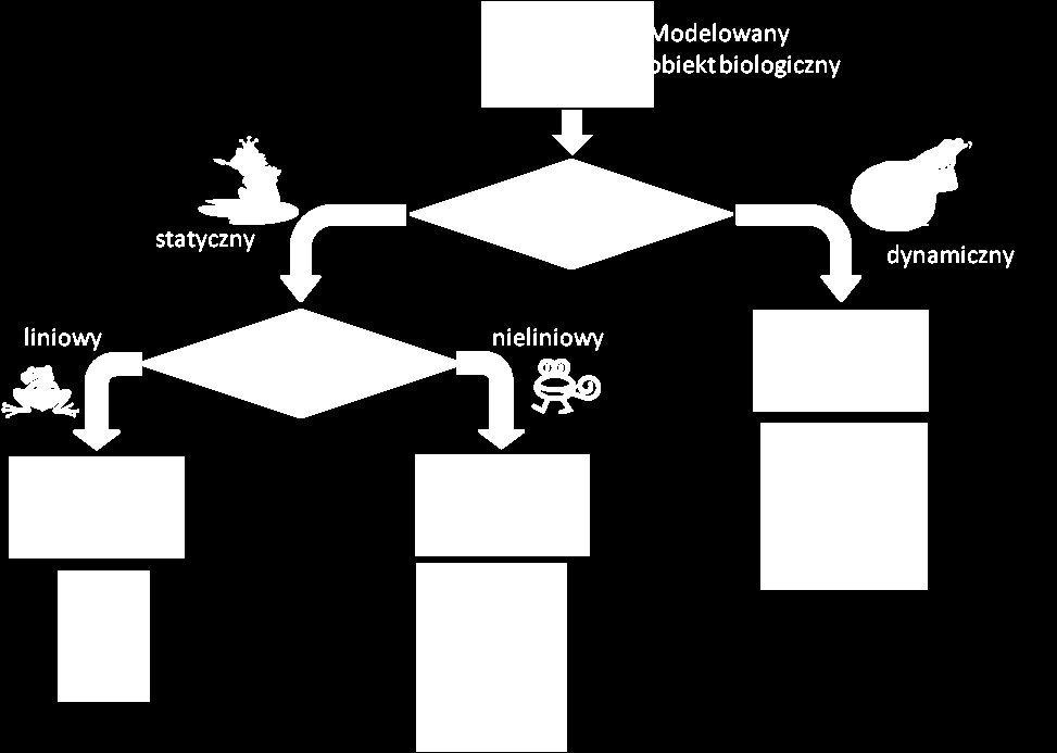 2. Podstawowe pojęcia i metody związane z modelowaniem 25 także przewidywane scenariusze wykorzystania modelu.