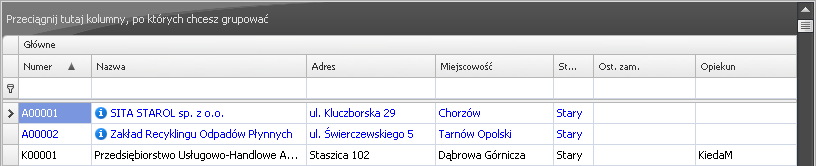 3.2. Praca z tabelami Program Waste Management System daje użytkownikowi możliwość wygodnej pracy z tabelami poprzez funkcje dowolnego ustawiania tabel i grupowania zawartych w nich informacji.