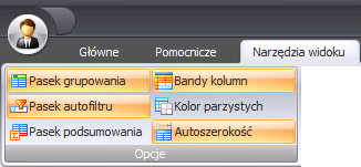 W zakładce >> Narzędzia widoku, w części Opcje dostępny jest szereg funkcji, które służą do pracy z widokami. Rysunek 17 Można je zarówno włączyć jak i wyłączyć w dowolnym momencie pracy w systemie.