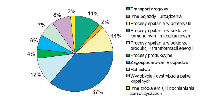 Do nasadzeń powinny być wykorzystane rodzime gatunki drzew i krzewów odporne na zanieczyszczenia.