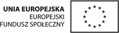 Raport cząstkowy z badań jakościowych przeprowadzonych z przedstawicielami instytucji rynku pracy w ramach projektu: Razem