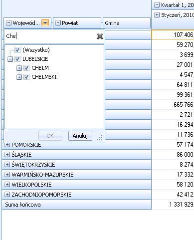 Rysunek 45 Wyszukiwanie frazy 'Che' w rozwiniętej hierarchii na filtrze 2.4.2. Opóźnienie wykonania raportu Opcja ta jest dostępna w dolnej części listy pól Raportu Olap.