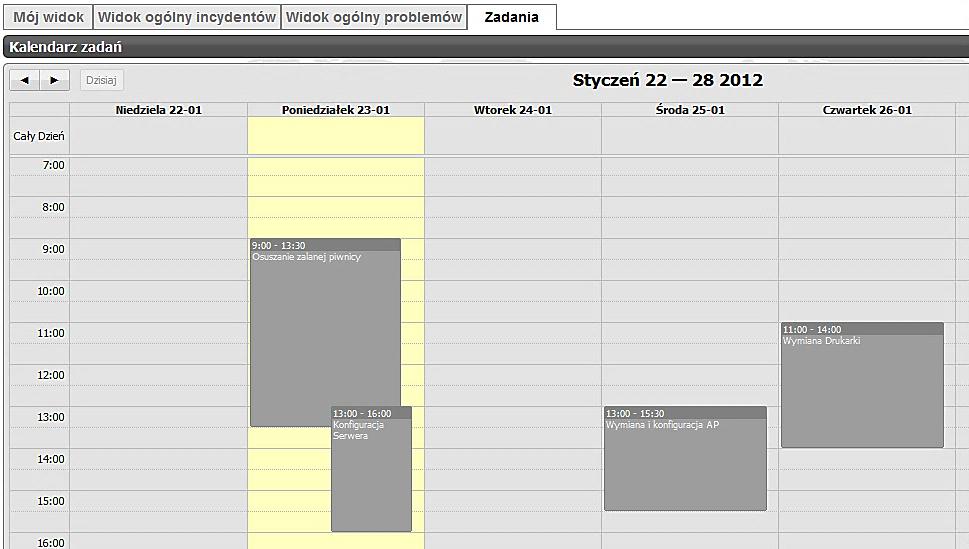 W zakładce Widok Ogólny Problemów prezentowane są informacje o bieżących problemach