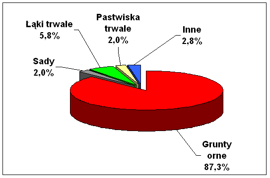 Plan Rozwoju Lokalnego Gminy Tarnowo Podgórne 13