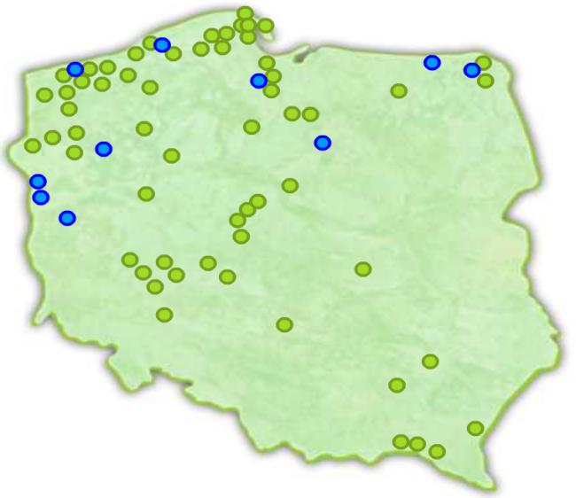 Na wzrost dynamiki produkcji odnawialnych źródeł energii wpływ miała przede wszystkim energia wiatrowa. Moce wytwórcze tej energii wzrosły w 2010 roku niemal o połowę.