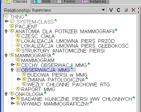 Przykład: MODUŁ MAMMOGRAFIA Struktura klasy OBSERWACJA