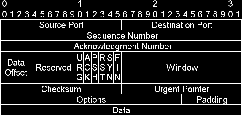 Protokół TCP Format