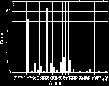 Częstotliwość występowania alleli VNTR D1S80 w populacji Jeśli dwa allele mają częstotliwości p i q w