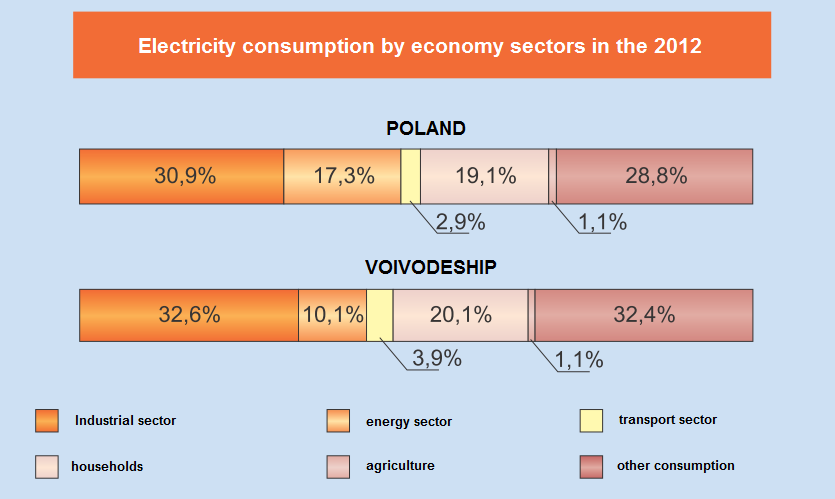 Renewable-other 14 625 Electricity 12 668 000 The heat network 26 769 170 Table 11. The total final energy consumption broken down by categories.