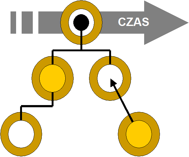 Zarządzanie majątkiem liniowym EAM Model hierarchiczny Sprawdza się dla większości typowych zasobów Wykorzystuje relację rodzicdziecko do powiązań pomiędzy poszczególnymi komponentami, zasobami i