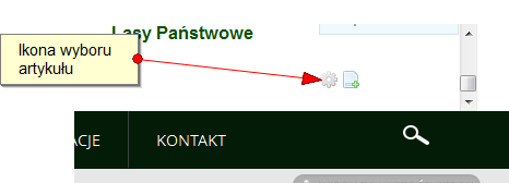 Sekcja jest sekcją powtarzalną co oznacza, że możliwe jest generowanie wielu sekcji klikając na ikonę + znajdującą się w prawym górnym rogu sekcji. Rysunek 141 Dodawanie nowej sekcji 7.