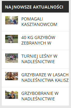 Rysunek 173 Najnowsze aktualności Rysunek 174 Polecane 7.