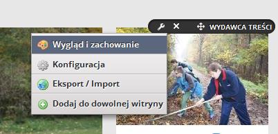 Z punktu widzenia konfiguracji portletu najważniejsze są pierwsze dwie opcje Wygląd i zachowanie oraz Konfiguracja.