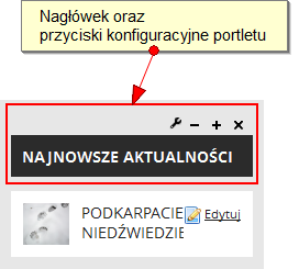 Powiązanie adresów URL generowanych przez portlet do innej strony. Opcja nie powinna być wykorzystywana przez użytkowników PKLP. Włączenie bądź wyłączenie ramki portletu.