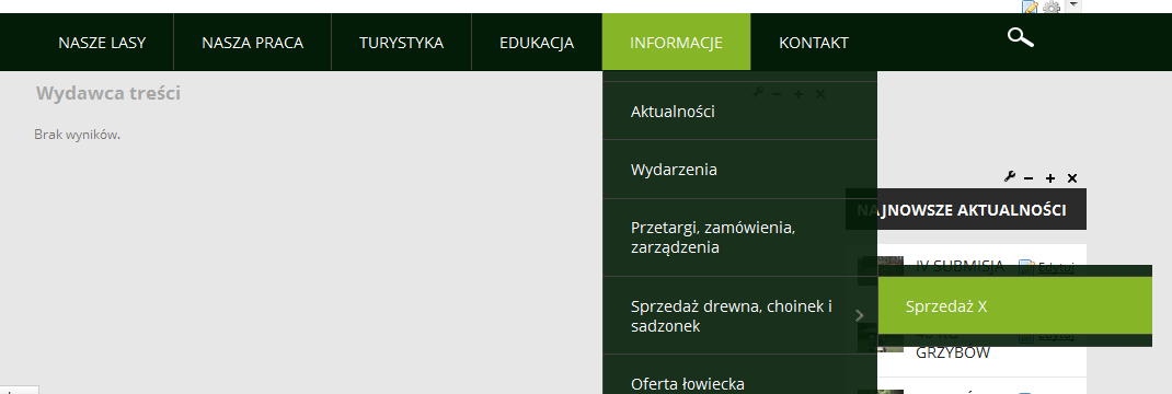 Rysunek 44 Link do nowej strony w menu Rysunek 45 Wyświetlona strona UWAGA! Wyświetlenie strony jest bardzo ważną czynnością.