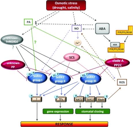 Kulik et al., OMICS.