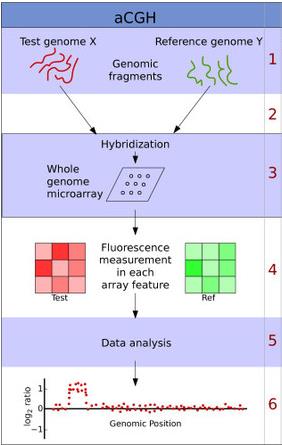 CGH = array-based