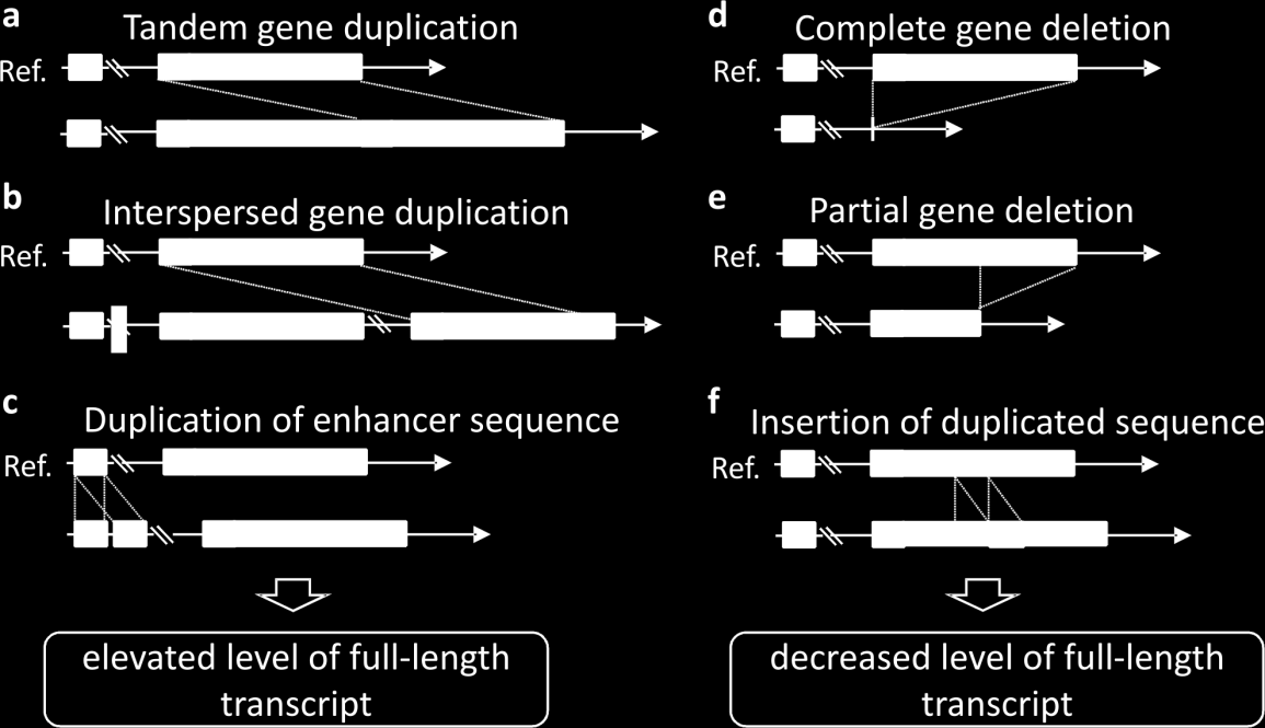 Significance: Żmieńko et al.