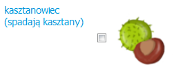 Kasztanowiec W tym miejscu należy zaznaczyć pole, jeśli zaobserwowano spadające kasztany. Dąb W tym miejscu należy zaznaczyć pole odpowiadające zaobserwowanemu stanowi listowia dębu.