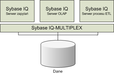 Oracle10g, Sybase IQ, SQL Server 2000 - ocena funkcjonalności serwerów baz danych... 251 FROM sprzedaż sp GROUP BY sklep_id; 6.2. SQL Server Procesor zapytań SQL Server2000 pozwala na równoległe przetwarzanie zapytań.