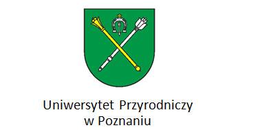 prostokątnej (optycznie zmienionej na prostokątnym płacie chorągwi).