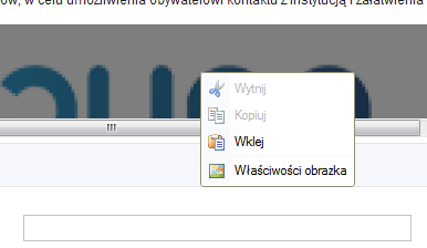 Następnie należy zjechad w dół ekranu aż do zakładki Galeria oraz wybrad w kolumnie Art. Przycisk P przy danym zdjęciu.