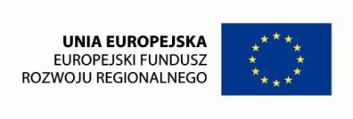 Działanie 8.2 Wspieranie wdrażania elektronicznego biznesu typu B2B Programu Operacyjnego Innowacyjna Gospodarka Pytania ze spotkania w dniu 20.06.2012r. 1.