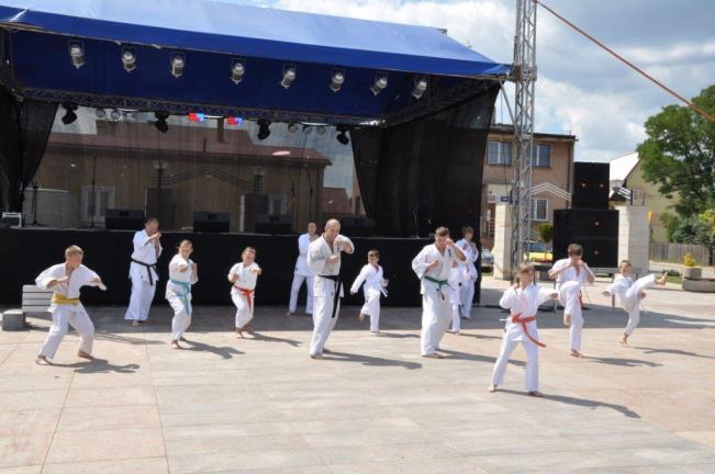 I.2.2. Kultura, sztuka, sport Kultura Wkład w życie kulturalne gminy, oprócz Gminnej Biblioteki Publicznej w Miedzianej Górze wraz z filią w Bobrzy, mają liczne organizacje pozarządowe oraz Koło