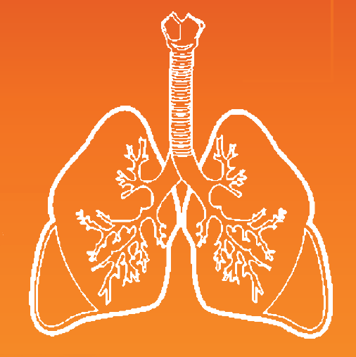 Choroby układu oddechowego Długotrwała ekspozycja na zanieczyszczenia powietrza może powodować przewlekłą obturacyjną chorobę płuc (POChP) oraz wiele innych: Astmę oskrzelową Rozedmę Przewlekłe