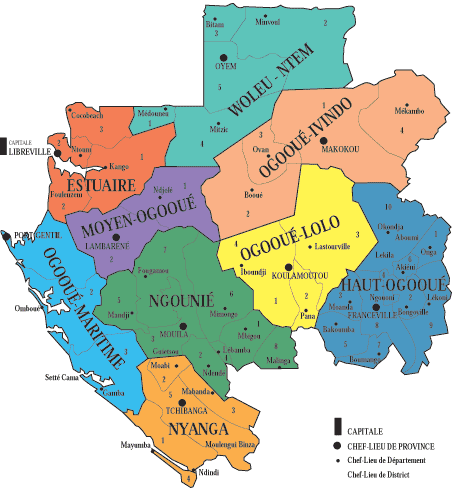 Studium przypadku: Gabon Dwa projekty biometryczne narodowy program identyfikacji biomterycznej (IBOGA) biometryczna karta zdrowia IBOGA narodowy