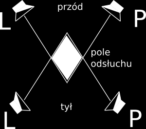 Scheibera z 1967 r. opierał się na umieszczeniu pary głośników z przodu słuchacza (jak w typowym układnie stereo) oraz dodaniu drugiej pary, z tyłu słuchacza. Rys. 2.