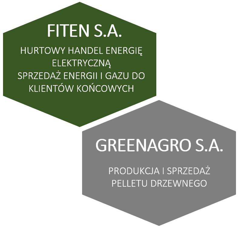 Przez okres 6 lat FITEN zbudował i ugruntował swoją pozycję na rynku energii jako niezależny (niezwiązany z żadną grupą energetyczną) i solidny podmiot, bardziej rozpoznawalny za granicą niż w Polsce.