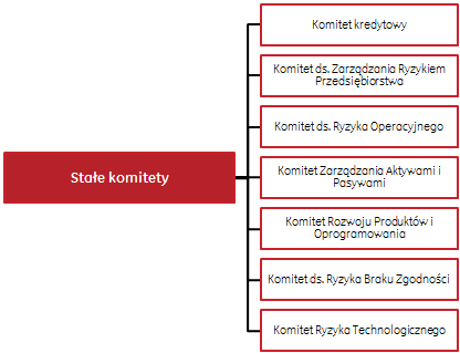 6.2 Struktura Zarządzania w 2014 roku 6.