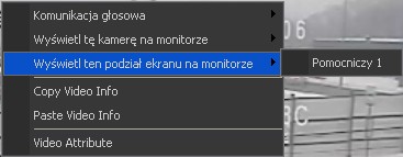 opcję wyświetl tę kamerę na monitorze ( i wskazać monitor z listy). Obraz z kamery zostanie wyświetlony w trybie pełnoekranowym na wskazanym monitorze pomocniczym.